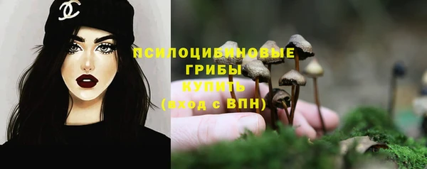 стафф Армянск