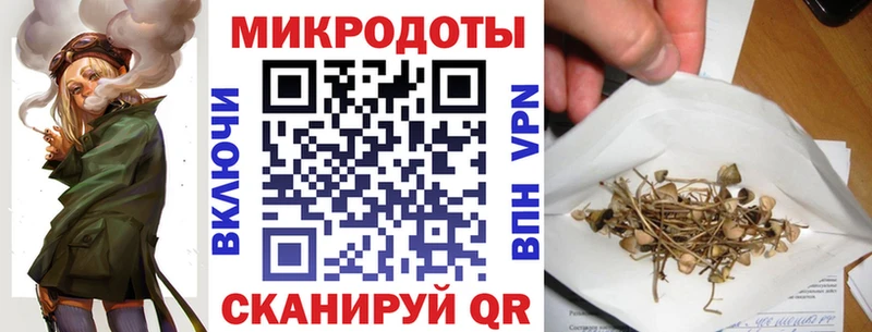 Псилоцибиновые грибы мухоморы  купить закладку  Сураж 